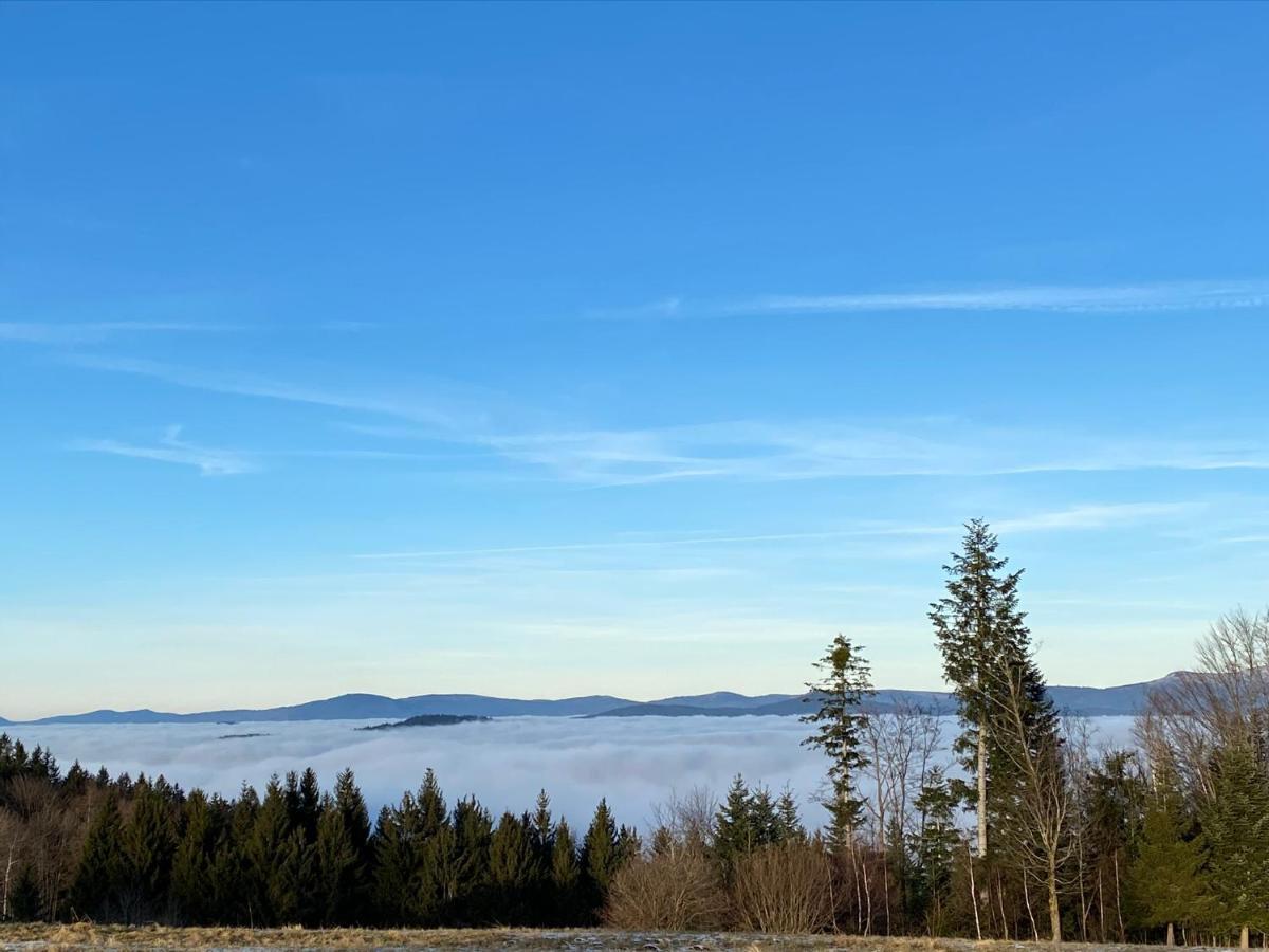 Uriges Top-Apartment Im Bayerischen Wald 3Br! +Netflix Schöfweg Eksteriør billede
